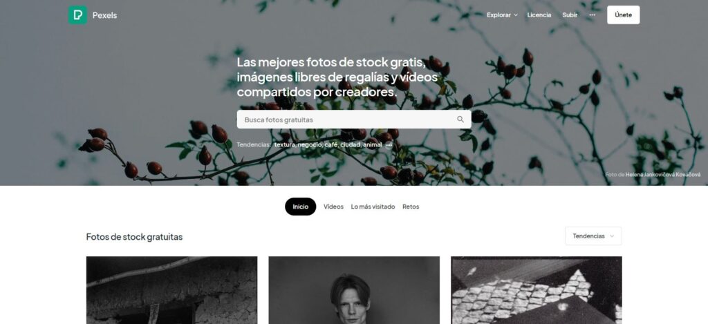 pexels-img-articulo-blog pexels-img-articulo-blog
