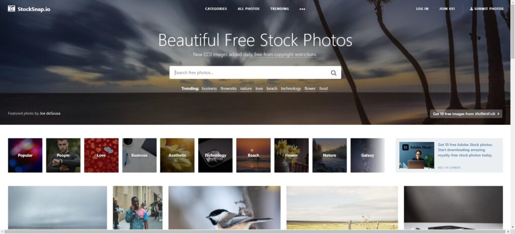 stocksnap-io-img-articulo-blog stocksnap-io-img-articulo-blog
