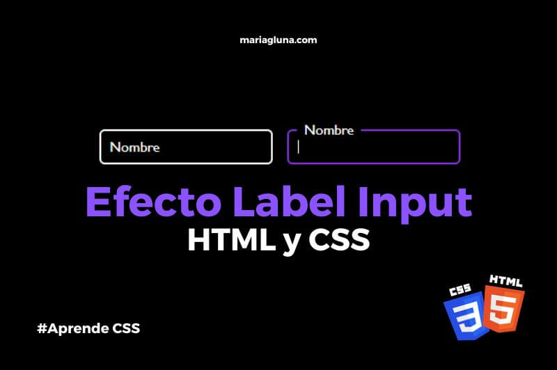 Efecto Label Input HTML y CSS